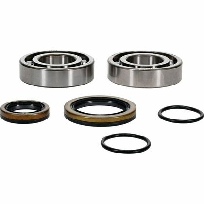 Kit roulements et joints de vilebrequin All Balls 1151699