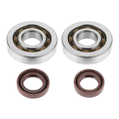 Artek SCOOT K2 SKF Crankshaft bearing and seal kit