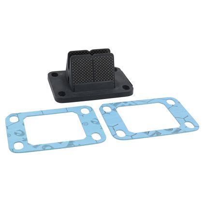 Artek 50 A BOX Carbon valves Ref : ARK00234A / 215883 