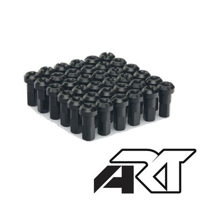 Rayon ART Jeu de têtes de HAAN WHEELS - x36 Universel