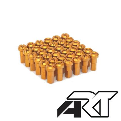 Rayon ART Jeu de têtes de HAAN WHEELS - x36 Universel