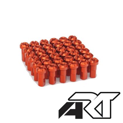 Rayon ART Jeu de têtes de HAAN WHEELS - x36 Universel