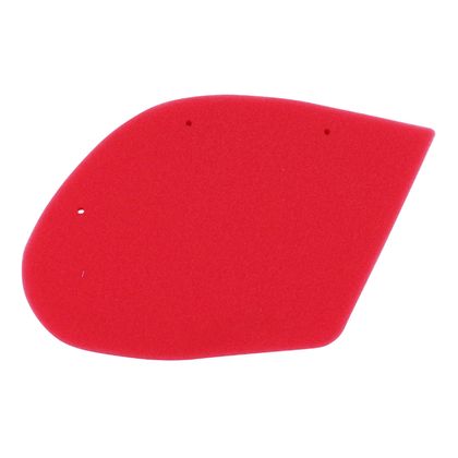 Artein SCOOTER FOAM Air filter