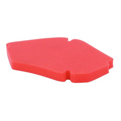 Artein SCOOTER FOAM Air filter Ref : ARTE00008A / 31326 