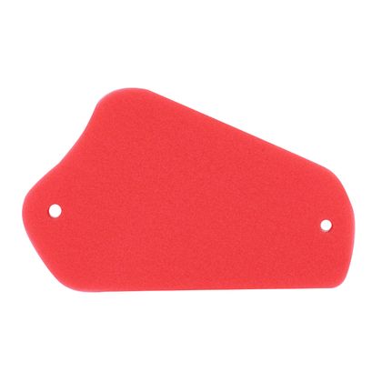 Artein MOUSSE 50 A BOITE Luftfilter