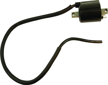 Bobine allumage A-Style 21020443