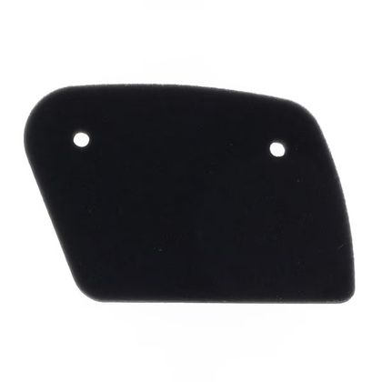 Filtre à air Athena S410010200006 Ref : ATH00523A / 1097858 