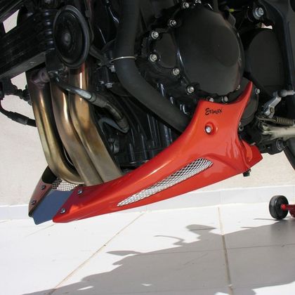 Ermax Motorschutz Ref : EM0603 TRIUMPH 1050 SPEED TRIPLE 1050 - 2005 - 2010