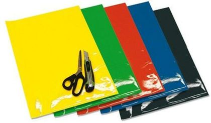 Stickers Blackbird Planches adhésives Crystall réspirante translucide Universel