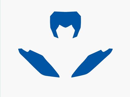 Fonds de plaque Blackbird bleu