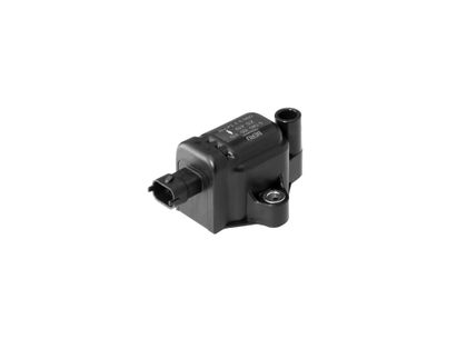 BERU Standard Ontstekingsspoel