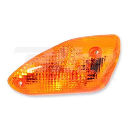 Bihr vorne rechts OE orangefarben Blinkend