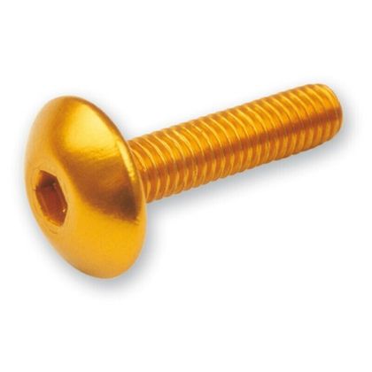 Kit de fixation Bulle Bihr screw allen M6x20 Gold Universel