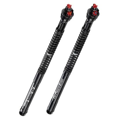 Bitubo RSV4R 09 - 13 Kit patroner