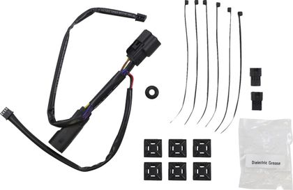 Feux Ciro Éclairage coffre