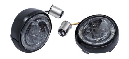 Clignotant Ciro Insert Fang Ref : CIRO00056A / 20402862 