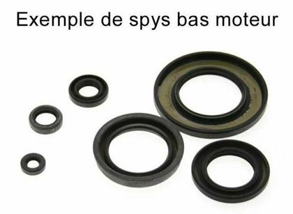 Joint spy bas moteur Centauro 1003400