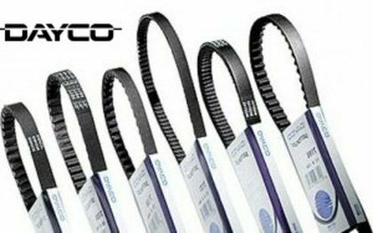 Pas transmisji Dayco standard