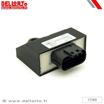 Boitier électronique Dell Orto de commande DELLORTO ECU Original 25km/h