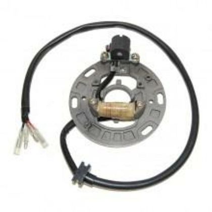 Stator d'allumage Electrosport 