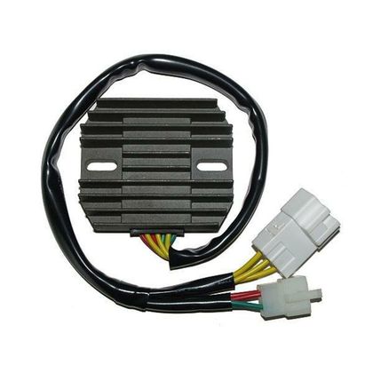 Electrosport Regler Spannungsregler
