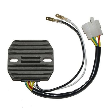 Electrosport Regler ESR 240 Elektronisches Gehäuse