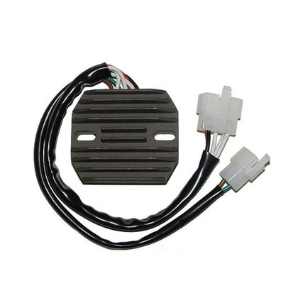 Electrosport Regler ESR 350 Elektronisches Gehäuse