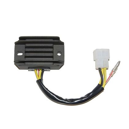 Electrosport Regler ESR 600 Elektronisches Gehäuse
