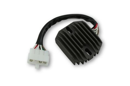 Electrosport Regler ESR 320 Elektronisches Gehäuse
