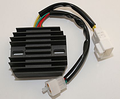 Electrosport Regler ESR 430 Elektronisches Gehäuse