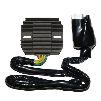 Electrosport Regler ESR431 Elektronisches Gehäuse