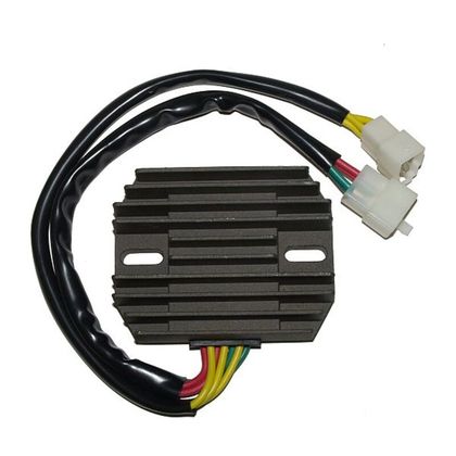 Electrosport Regler ESR 531 Elektronisches Gehäuse