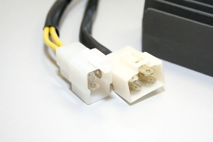 Electrosport Regler ESR539 Elektronisches Gehäuse