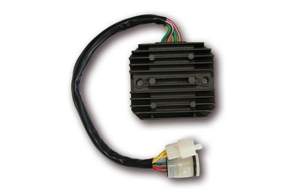 Electrosport Regler ESR672 Elektronisches Gehäuse