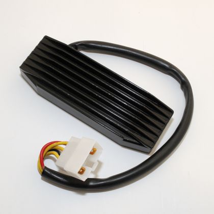 Electrosport Regler ESR 751 Elektronisches Gehäuse