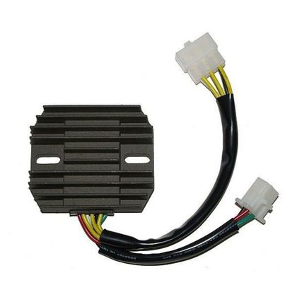 Régulateur de tension Electrosport 