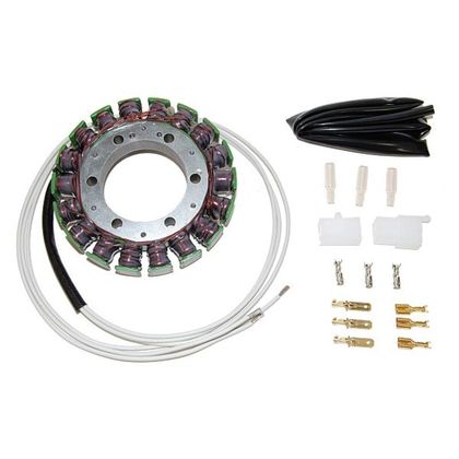 Stator d'allumage Electrosport 