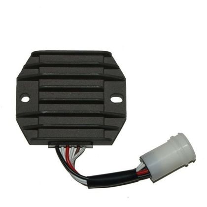 Electrosport Voltage regulator