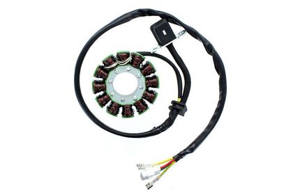 Stator d'allumage Electrosport 