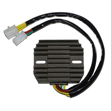 Boitier électronique Electrosport Régulateur