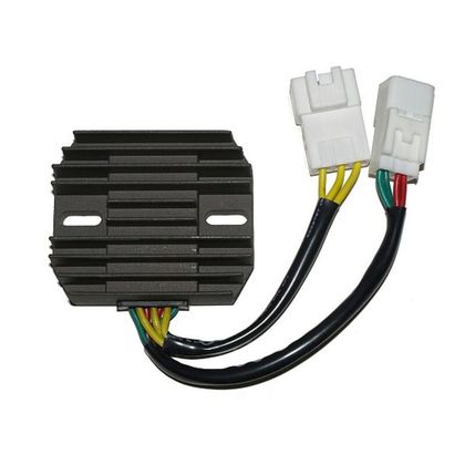 Boitier électronique Electrosport Régulateur