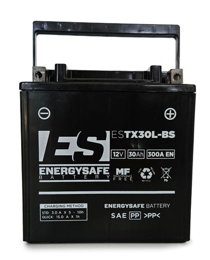 EnergySafe ESTX30L - BS 12V 30AH Battery Ref : ENY00013A / E4830627 