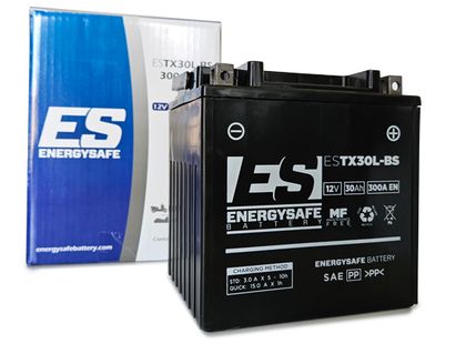 EnergySafe ESTX30L - BS 12V 30AH Battery