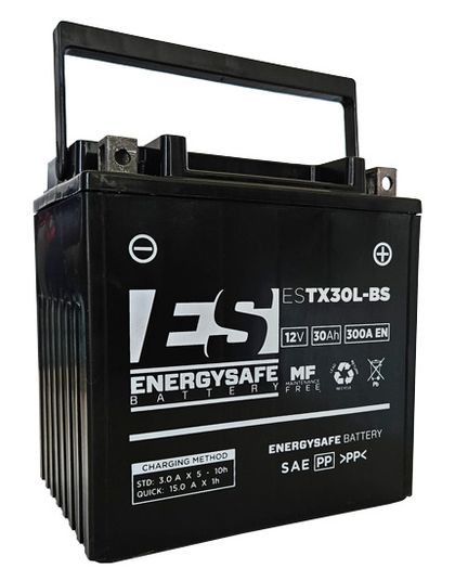 EnergySafe ESTX30L - BS 12V 30AH Battery