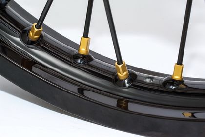 Haan Wheels Spaaknippelset - Goud Wiellager