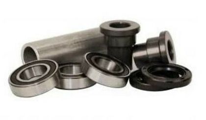 Haan Wheels rear 2 pieces Wheel bearing kit + oil seals Ref : HAA01487A / 1149977 