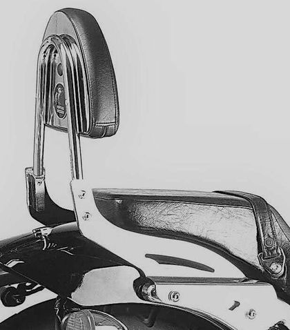 Hepco & Becker - chrome Sissy bar