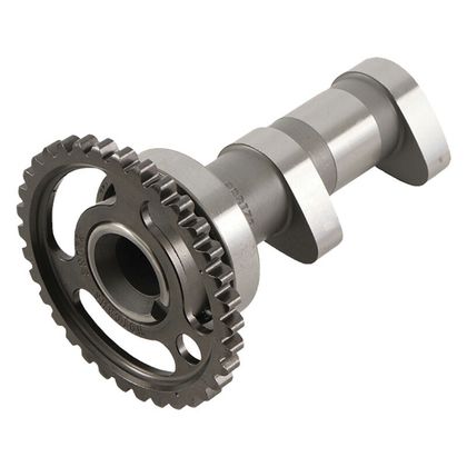 Arbre à cames Hotcams admission Niveau 1