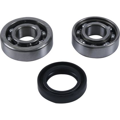 Hot Rods Balancer Shaft Reconditioning Revisiekit voor balanseeras Ref: HR00356A / 1118575 