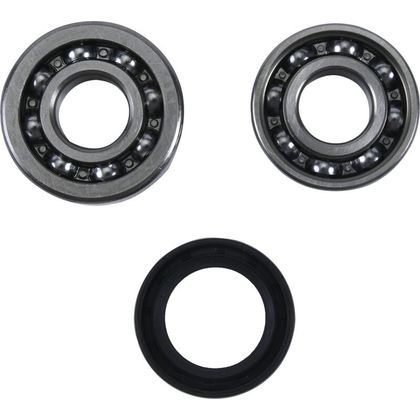 Hot Rods Balancer Shaft Reconditioning Revisiekit voor balanseeras